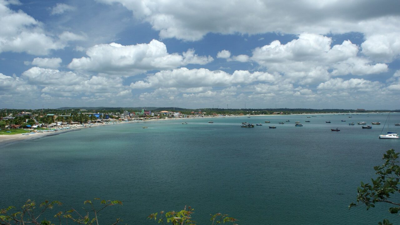 ත්රිකුණාමලය (තල්මසුන් සහ ඩොල්ෆින්)