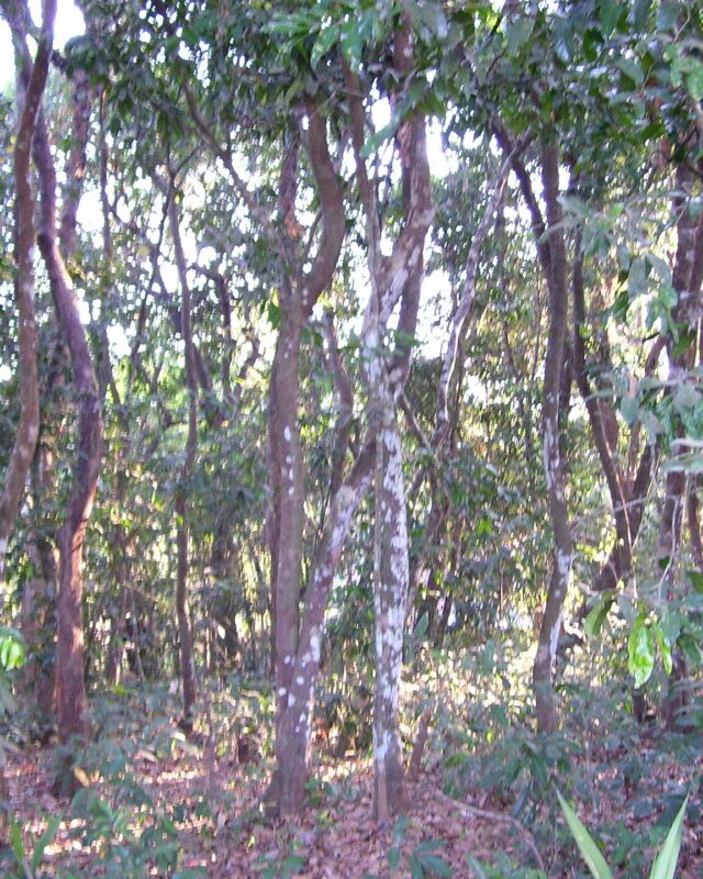 කළුවර