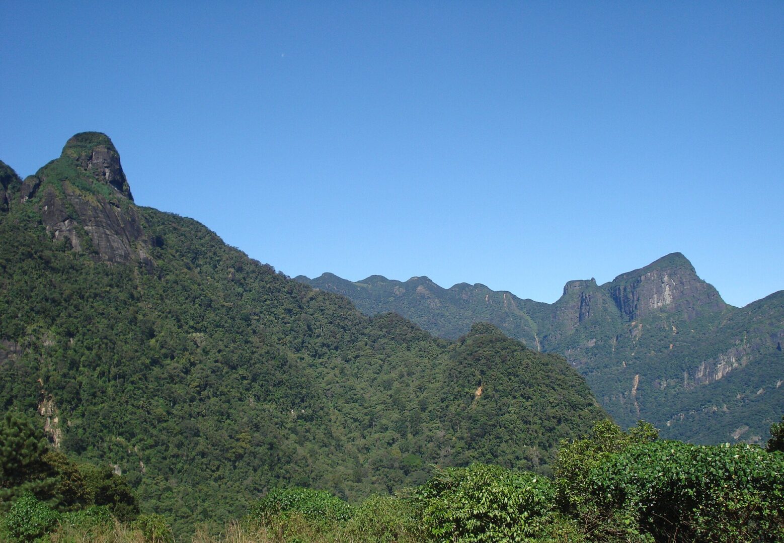දුම්බර කඳුවැටිය (නකල්ස්)