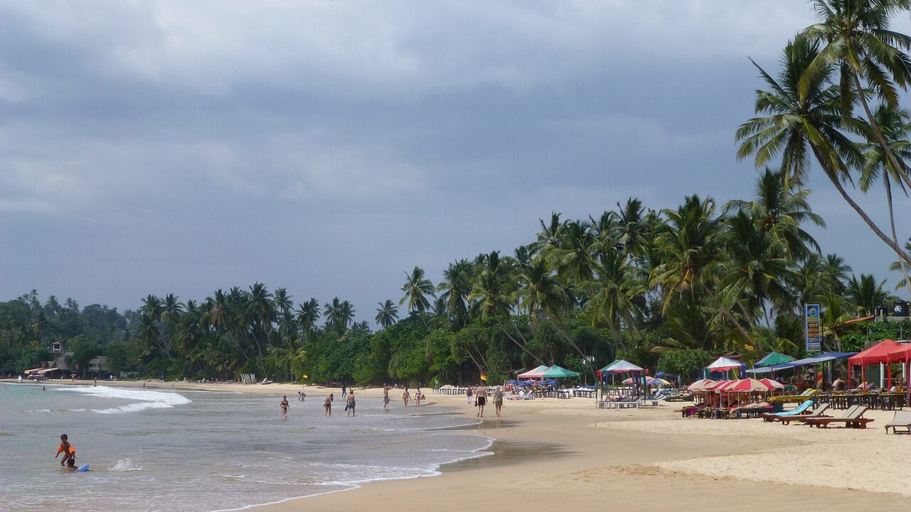මිරිස්ස (තල්මසුන් නැරඹීම)
